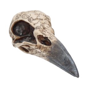 Edgar's Raven Skull 21cm Animal Skulls Out Of Stock