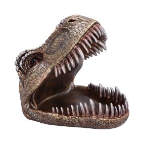 Tyrannosaurus Rex Dish 24cm Dinosaurs New Arrivals