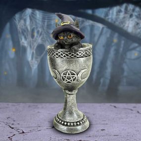 Coven Cup 15.7cm