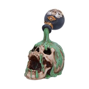 Fatal Elixir 19.2cm Skulls Stock Arrivals