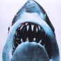 Jaws Cushion 40cm Animals Summer Sale 2024