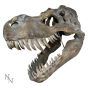 Tyrannosaurus Rex Skull Large 51.5cm B/strap Dinosaurs RRP Under 150