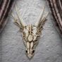 The Last Dragon Skull 32cm Skulls Out Of Stock