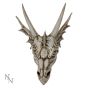 The Last Dragon Skull 32cm Skulls Out Of Stock