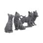 Lucky Black Cats 9cm (Display of 24) Cats Top 200 None Licensed