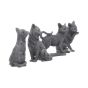 Lucky Black Cats 9cm (Display of 24) Cats Out Of Stock