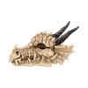 Dragon Skull Box 20cm Skulls Top 200 None Licensed