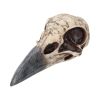 Edgar's Raven Skull 21cm Animal Skulls Top 200 None Licensed