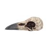 Edgar's Raven Skull 21cm Animal Skulls Top 200 None Licensed