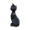 Mystic Kitty 26cm Cats Top 200 None Licensed