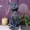 Mystic Kitty 26cm Cats Top 200 None Licensed