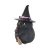 Lucky Black Cat 12cm Cats Gifts Under £100