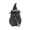 Lucky Black Cat 12cm Cats Gifts Under £100