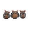 Three Wise Bats 8.5cm Bats Top 200 None Licensed