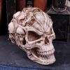 Skull of Skulls (JR) 18cm Skulls Top 200 None Licensed
