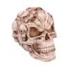 Skull of Skulls (JR) 18cm Skulls Top 200 None Licensed