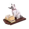 Hocus Pocus (LP) 16.8cm Cats Gifts Under £100