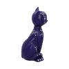 Mystic Kitty Purple 26cm Cats Gifts Under £100