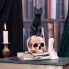 Spirits of Salem (LP) 16.5cm Cats Gifts Under £100