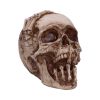 Breaking Out Skull (JR) 20cm Skulls Gifts Under £100