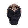 Spine Head Skull (JR) 18.5cm Skulls Gifts Under £100