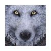 Guardian of the Fall Wall Plaque (LP) 29cm Wolves Gifts Under £100