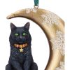 Moon Cat Hanging Ornament (LP) 9cm Cats Christmas Gift Guide Hanging Ornaments