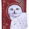 Magical Flight Embossed Purse 18.5cm Owls Top 200 None Licensed