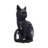 Nine Lives 22cm Cats Top 200 None Licensed