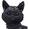 Nine Lives 22cm Cats Top 200 None Licensed