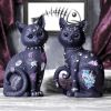 Nine Lives 22cm Cats Top 200 None Licensed