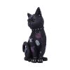 Bad to the Bone 22cm Cats Top 200 None Licensed