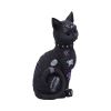 Bad to the Bone 22cm Cats Top 200 None Licensed