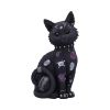 Bad to the Bone 22cm Cats Top 200 None Licensed