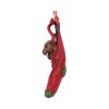 Magical Arrival Hanging Ornament (AS) 13.5cm Dragons Sale Items