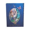 Fairy Whispers Journal (LP) 17cm Unicorns Summer Sale 2024