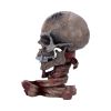 Metallica Pushead Skull 23.5cm Band Licenses Top 200