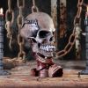 Metallica Pushead Skull 23.5cm Band Licenses Top 200