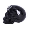 Black Magic 19.5cm Skulls Summer Sale 2024