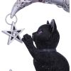 Luna Companion 18.8cm Cats Christmas Gift Guide Figurines