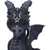 Lucifly 10.7cm Dragons Top 200 None Licensed