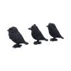 Three Wise Ravens 8.7cm Ravens Top 200 None Licensed