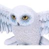 Harry Potter Hedwig Wall Plaque 45cm Owls Licensed Film