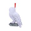 Harry Potter Hedwig's Rest Hanging Ornament 9cm Fantasy Christmas Gift Guide Hanging Ornaments