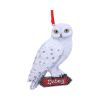 Harry Potter Hedwig's Rest Hanging Ornament 9cm Fantasy Christmas Gift Guide Hanging Ornaments