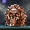 The Theory of Relativity 21cm Skulls Summer Sale 2024