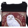 Magical Flight Shoulder Bag 23cm Owls Gifts Under £100