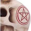 666 Skull (JR) 20cm Skulls Christmas Gift Guide Figurines