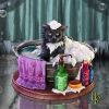 Bath Time (LP) 13.5cm Cats New Arrivals