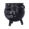 Witch's Fund 16.5cm Witchcraft & Wiccan Stock Release Spring - Week 1